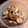 El cooksnap de Thomas Eismann cuando hizo Galletas de Blueberries.