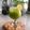 Cooksnap Dapur Yusfarisyia semasa beliau membuat 👩‍🍳Pineapple and Cucumber Juice🇺🇸.