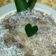 Cooksnap dari Badoci untuk resep Bubur Sagu Ambon