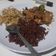Cooksnap dari Nisa untuk resep Terong Cabe Garam