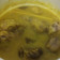 Cooksnap dari Rendy Gege untuk resep Ayam goreng kuning