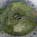 Cooksnap dari Ramasa untuk resep Gulai Daun Singkong Tumbuk