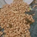 Cooksnap dari Wilda Shakura Jhe untuk resep Kacang bawang renyah empuk tanpa santan