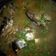 Cooksnap dari Srie Rebo untuk resep Sop Ikan Kepala Patin
