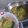 Cooksnap dari Audita Sarah Amulia untuk resep Buncis Ayam ala Singapore
