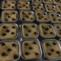 Cooksnap dari Candy untuk resep Banana Baked Pudding