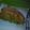 El cooksnap de Silvana7715 Etchechury cuando hizo Milanesas de pescado a la marinera!.