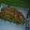 El cooksnap de Silvana7715 Etchechury cuando hizo Milanesas de pescado a la marinera!.