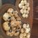 El cooksnap de Karina Rosa cuando hizo Muffins salados con corazón de queso y jamón.