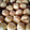 El cooksnap de Daniela cuando hizo Bombas o profiteroles.