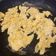 Cooksnap de Sara dos Santos quando cozinhou Ovos Mexidos.
