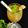 Sil Sukla's cooksnap of when they made মুসাম্বি লেমনেড (Sweet lime lemonade recipe in Bengali).