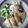 Cooksnap dari shelly kurniawati untuk resep Pempek Santan Gurih