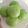 Cooksnap dari Ajeng Sartika untuk resep Bakpao