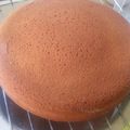 Beaty Roberts's cooksnap of when they made Vanilla cake 1kg.