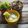 Cooksnap de Lo Reine sur la recette Tatziki Radis et Concombre