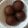 Ankita Kapil Varshney's cooksnap of when they made Bread gulab jamum.