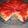 Cooksnap dari S.G.Hidayat untuk resep Japanese Strawberry Shortcake (happy call)