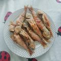 Cooksnap από MAΓΔΑΛΗΝΗ στη συνταγή Ψαράκια στη λαδόκολλα**