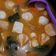 Cooksnap dari Anggienzhie untuk resep Suki kuah tomyam
