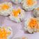 Cooksnap dari AMYRA RAHMAWATY untuk resep Dimsum siomay ayam mix udang 🐔🍤
