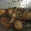 Cooksnap dari Dyla Cubie's untuk resep Semur kecap tahu telur