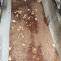 El cooksnap de nadia stehle cuando hizo Budín marmolado😋 solo con 10cdas! Y te haces un Riquísimo Budín.