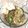 Cooksnap dari unijie untuk resep Mie Goreng Jawa