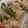 El cooksnap de Martha Nuñez cuando hizo Fajitas de filetes de pescado con pimientos y cebolla blanca.