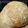 skilburn's cooksnap of when they made Tiger Bread.