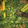 Cooksnap dari Dini untuk resep Sayur Singkong Santan