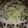 El cooksnap de sergio cuando hizo Risotto de pollo.