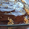 Cooksnap από Sara Mark στη συνταγή Σοκολατόπιτα πολύ εύκολη χωρίς μίξερ!!!!