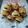 Cooksnap dari Ismarita Haeris untuk resep Soes Vla Coklat