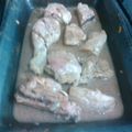 El cooksnap de Carlos Luis Barrios Bello cuando hizo Pollo al horno con mostaza, ajo y limón 😋😋🍗.