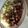 El cooksnap de Eva N cuando hizo Guiso de caza: Ragout de jabalí.