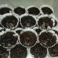 Cooksnap dari Bunda F2 untuk resep BOLU COKLAT KUKUS UNIK