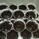 Cooksnap dari Bunda F2 untuk resep BOLU COKLAT KUKUS UNIK