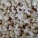 El cooksnap de Mary cuando hizo Palomitas de maíz natural (Horno de microondas).