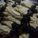 Cooksnap dari Saturday.april_14 untuk resep Sweet Cheesy Choco Cookies
