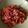 El cooksnap de kityrolan20 cuando hizo Macarrones con chorizo y salsa de tomate.