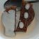 Cooksnap dari Tri Yuliyanti untuk resep Puding Lumut Gula Merah