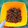 Cooksnap dari Syarifah Noor Fajariani Putri untuk resep Kering tempe bumbu kecap