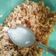 Cooksnap dari C untuk resep Nasi Goreng Terasi Ala Jawa