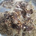 صورة من Jojo Saleh، شاركها بعد تجربة وصفة رز بحمص باللحم خطوات بالصور 🍚🍖