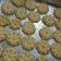 Cooksnap dari Gina Hariaty untuk resep Kue Sagu Keju