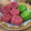 Cooksnap dari wahyuni mustika untuk resep *APEM KUKUS TEPUNG TERIGU*