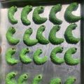 Cooksnap dari Alfiah Nur Rohmah untuk resep Kue kering ulat daun tanpa oven 3 bahan buat lebaran