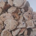 El cooksnap de Cintia Aguero cuando hizo Galletas de avena y chocolate.