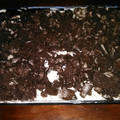 Princess Naisha's cooksnap of when they made Oreo Dirt Pudding.